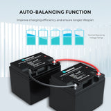 24V 25Ah Smart Lithium Iron Phosphate Battery