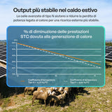 100W Pannelli Solari Bifacciali N-Type