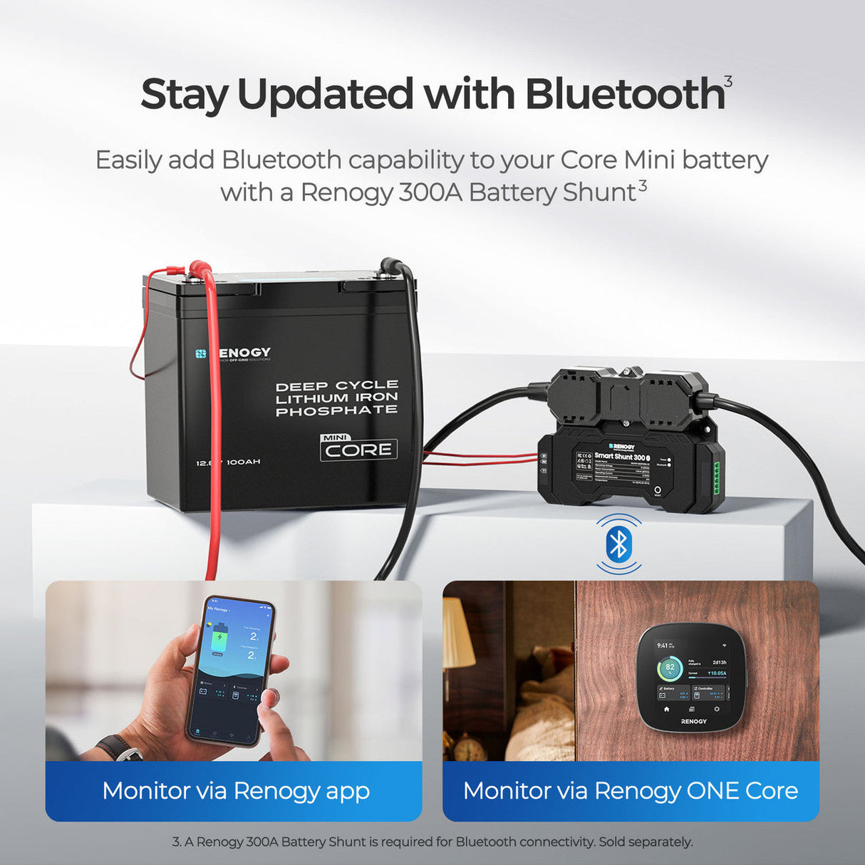 Core Mini – 12,8V 100Ah Batteria al Litio LiFePO₄ a Ciclo Profondo
