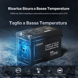 Renogy Core Mini - 12V 300Ah Batteria al Litio LiFePO₄ - Ricarica Sicura a Basse Temperature